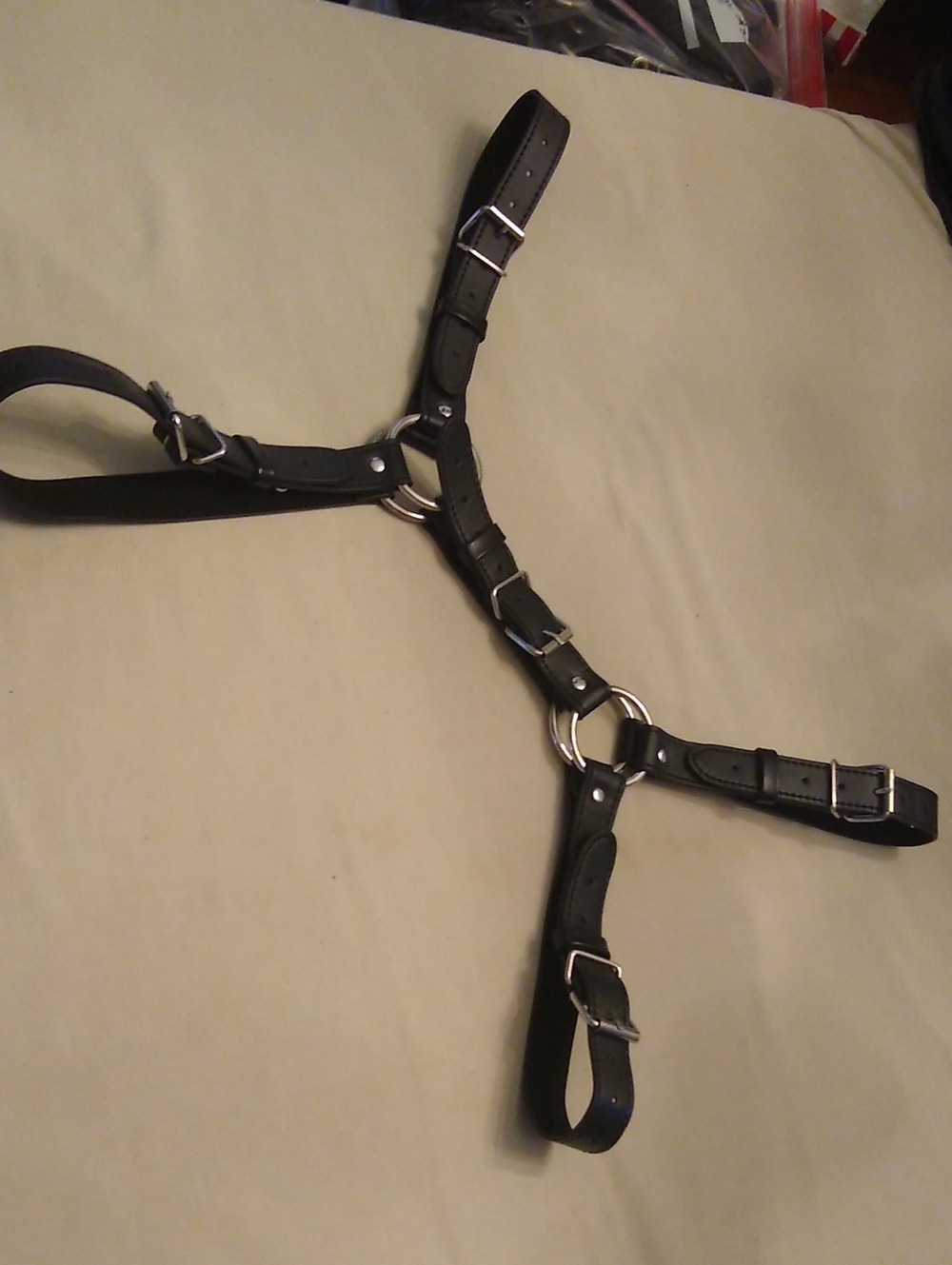 Faux Leather Harness with Silver Hardware #54